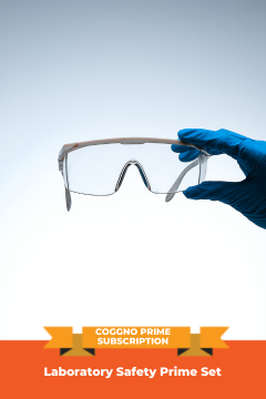 Laboratory Safety  Prime Set